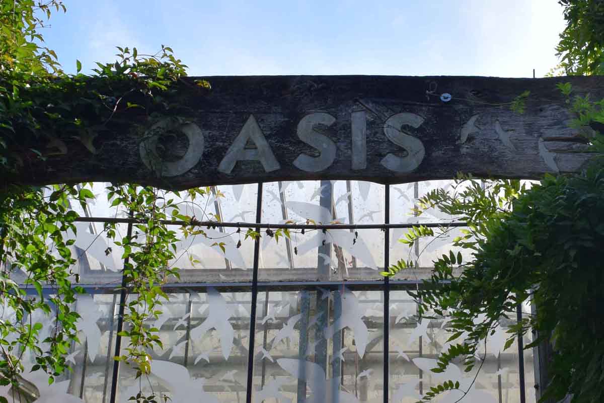 Pairi Daiza Oasis
