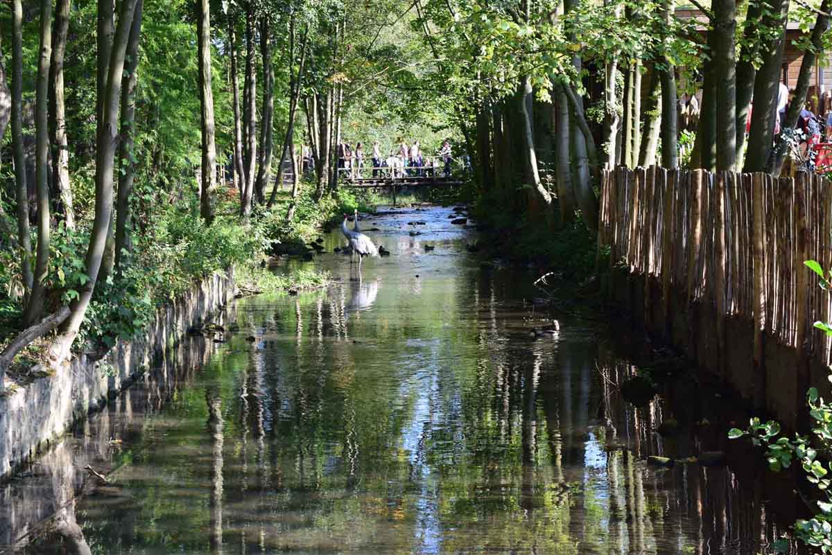 Pairi Daiza Oasis