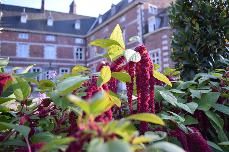 parc monceau sur sambre