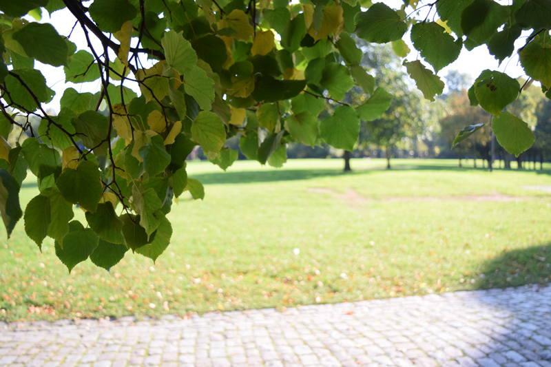 parc monceau sur sambre