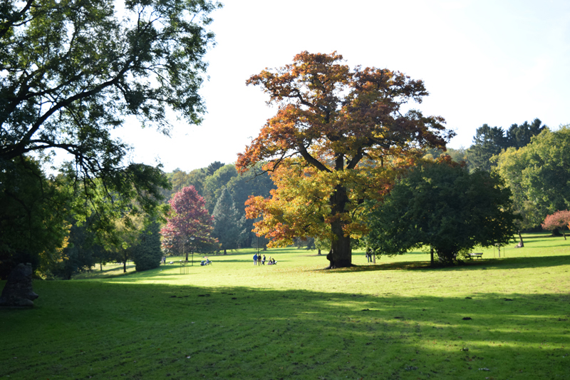 parc monceau sur sambre