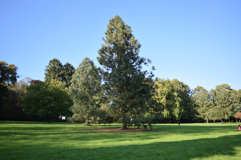 parc monceau sur sambre