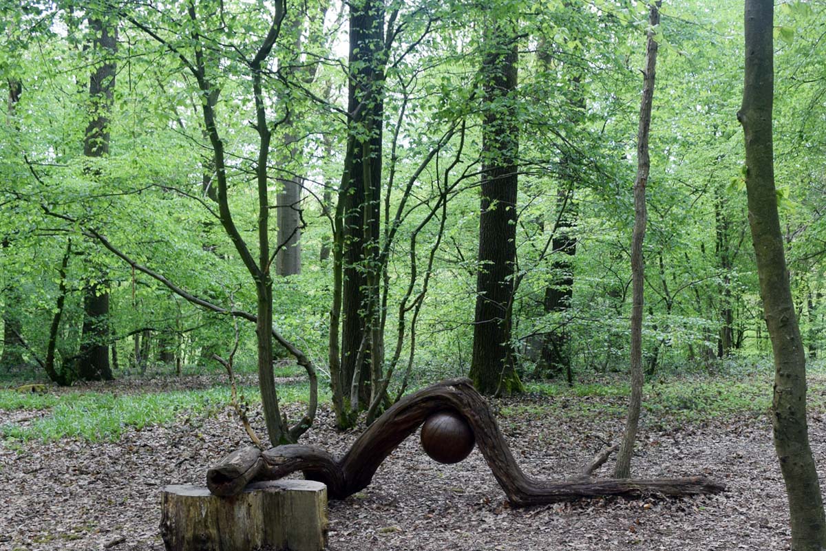 Thuin 2019