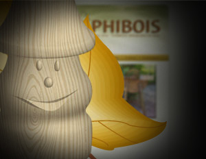 PHIBOIS